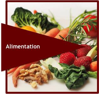 alimentation